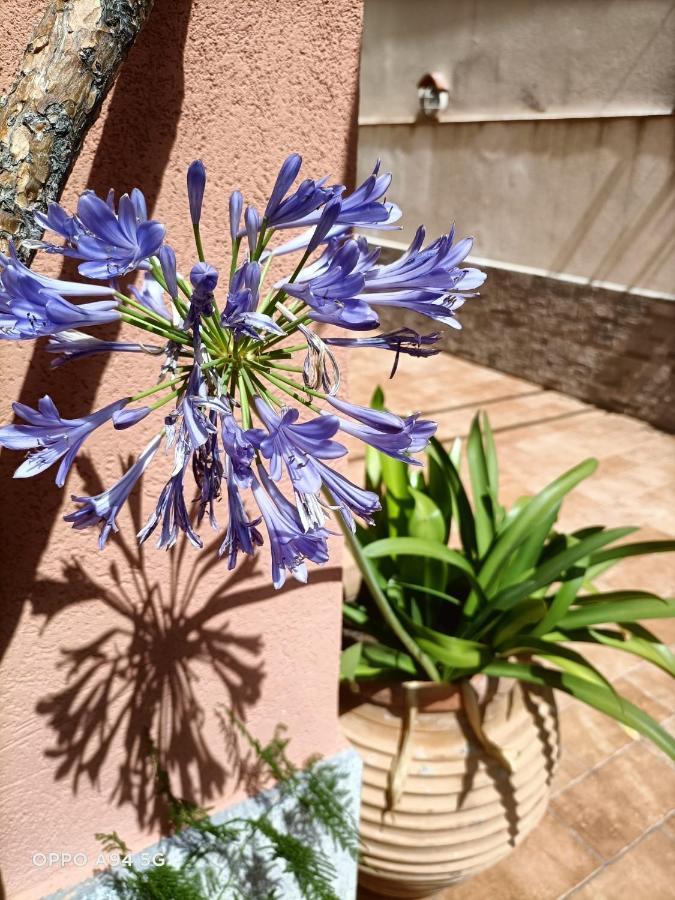 La Casetta Della Letizia Mondello Exteriér fotografie